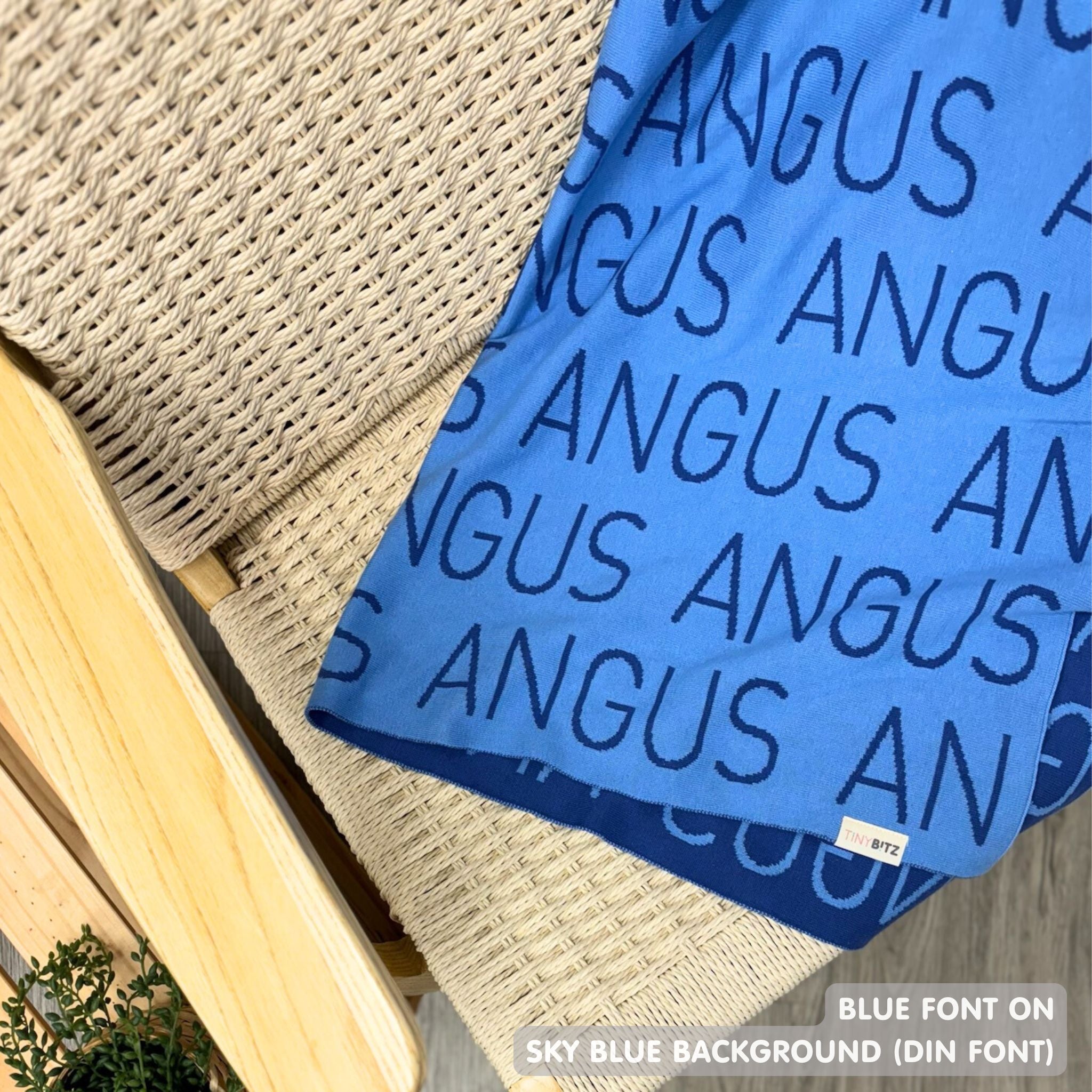 Personalized Blanket for Pets (Sky Blue Background)