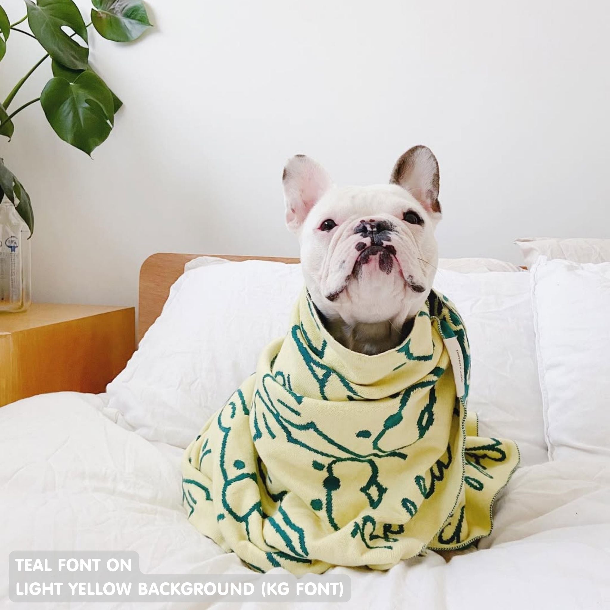 Personalised pet blanket for dogs in light yellow and teal knitted cotton, personalise your dog bed with custom knitted dog blanket by TinyBitz.