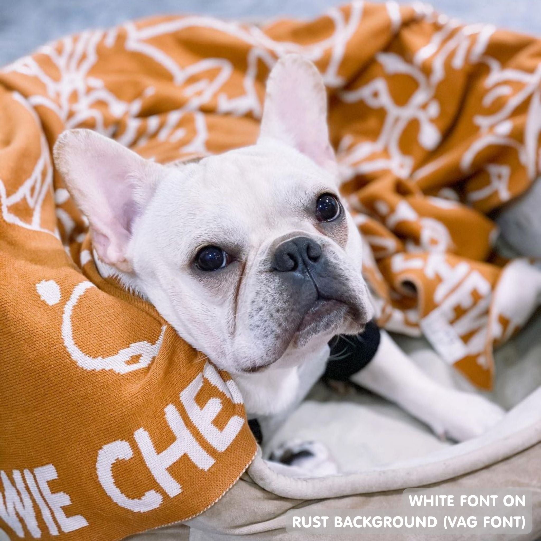 Personalised pet blanket for dogs in rust and white knitted cotton, personalise your dog bed with custom knitted dog blanket by TinyBitz.