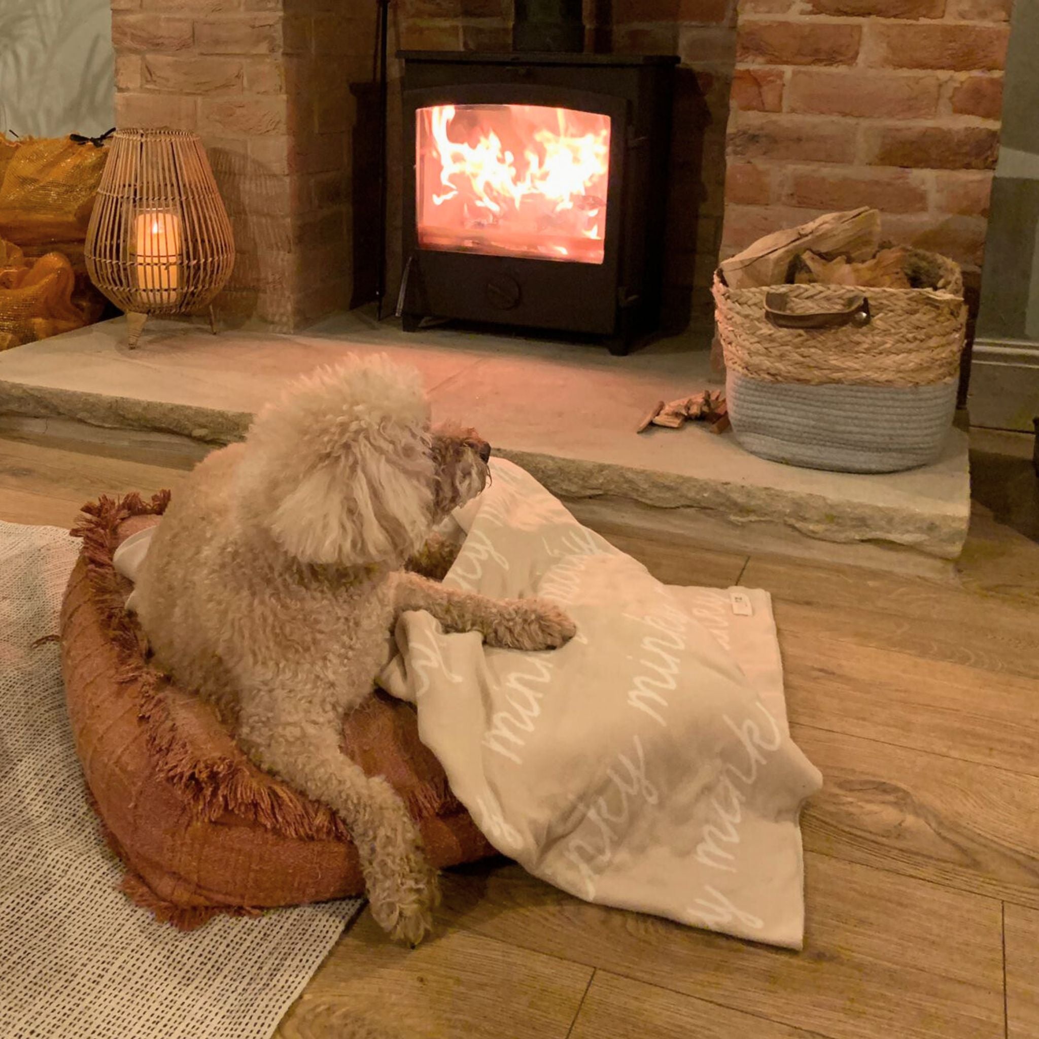 Personalised pet blanket in oatmeal and white knitted cotton, custom knitted dog blanket by TinyBitz, perfect gift for dog lovers.
