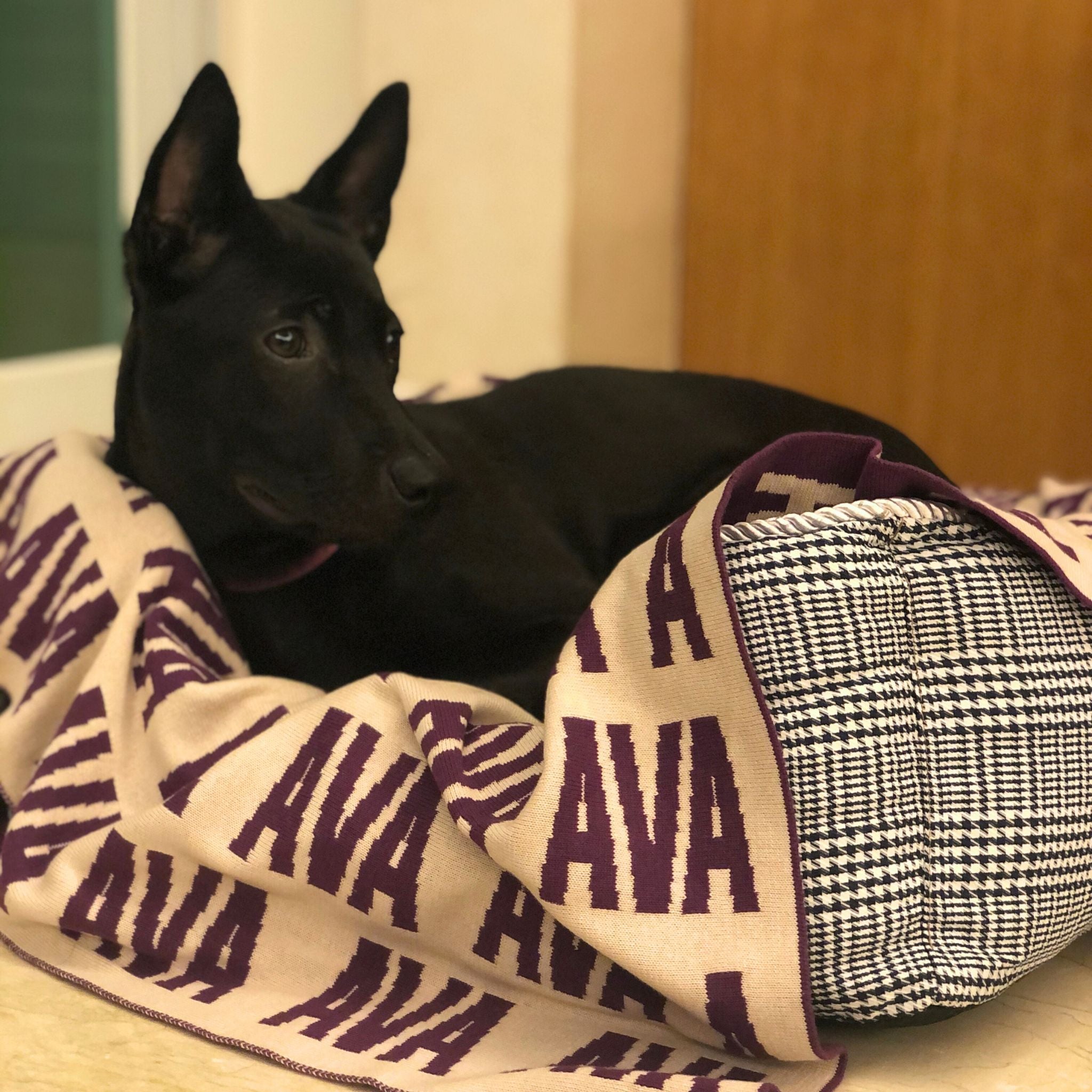 Personalised pet blanket for dogs in oatmeal and eggplant knitted cotton, custom knitted dog blanket by TinyBitz, perfect gift for cat lovers.