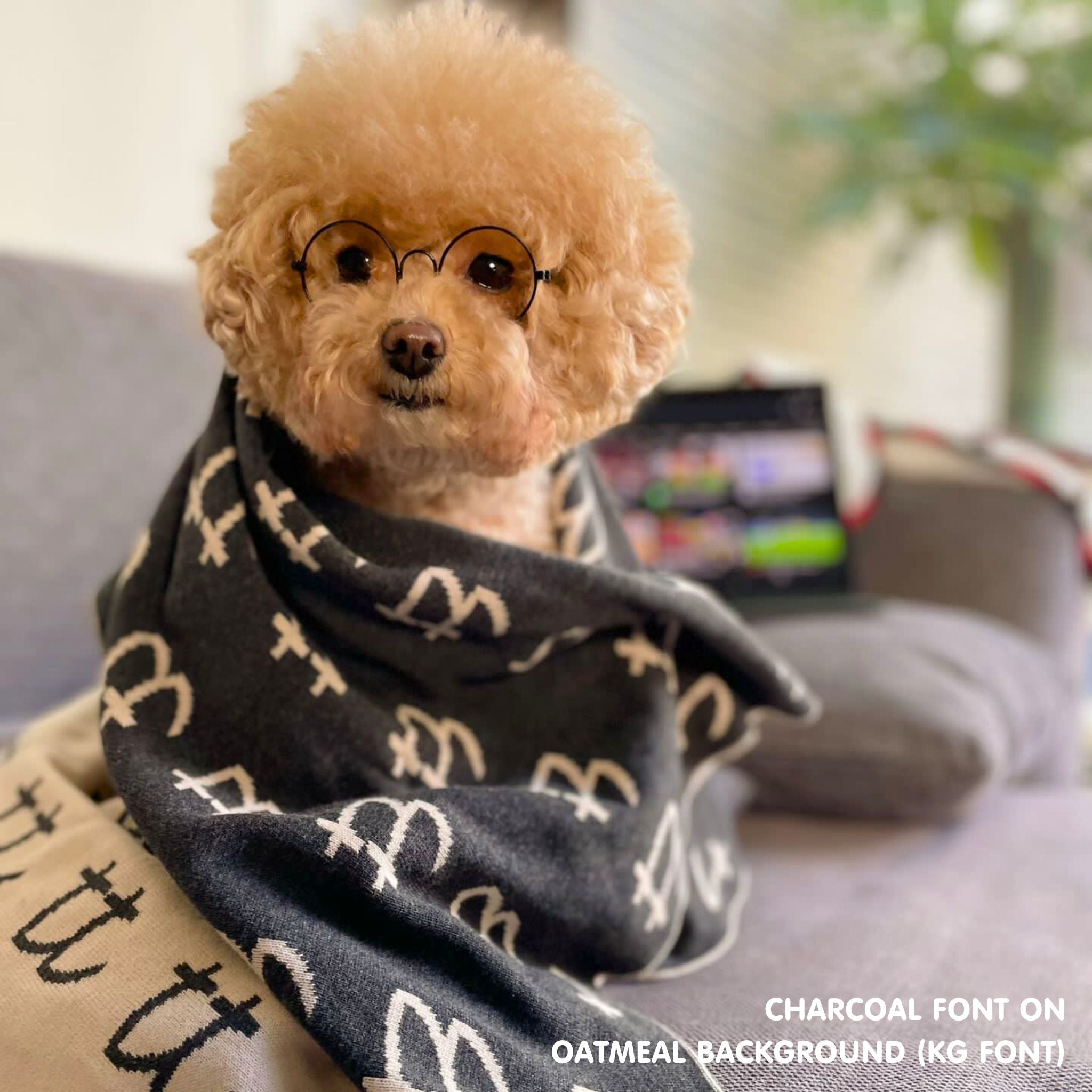 Personalised pet blanket for cats in oatmeal and charcoal knitted cotton, personalise your cat bed with custom knitted cat blanket by TinyBitz.