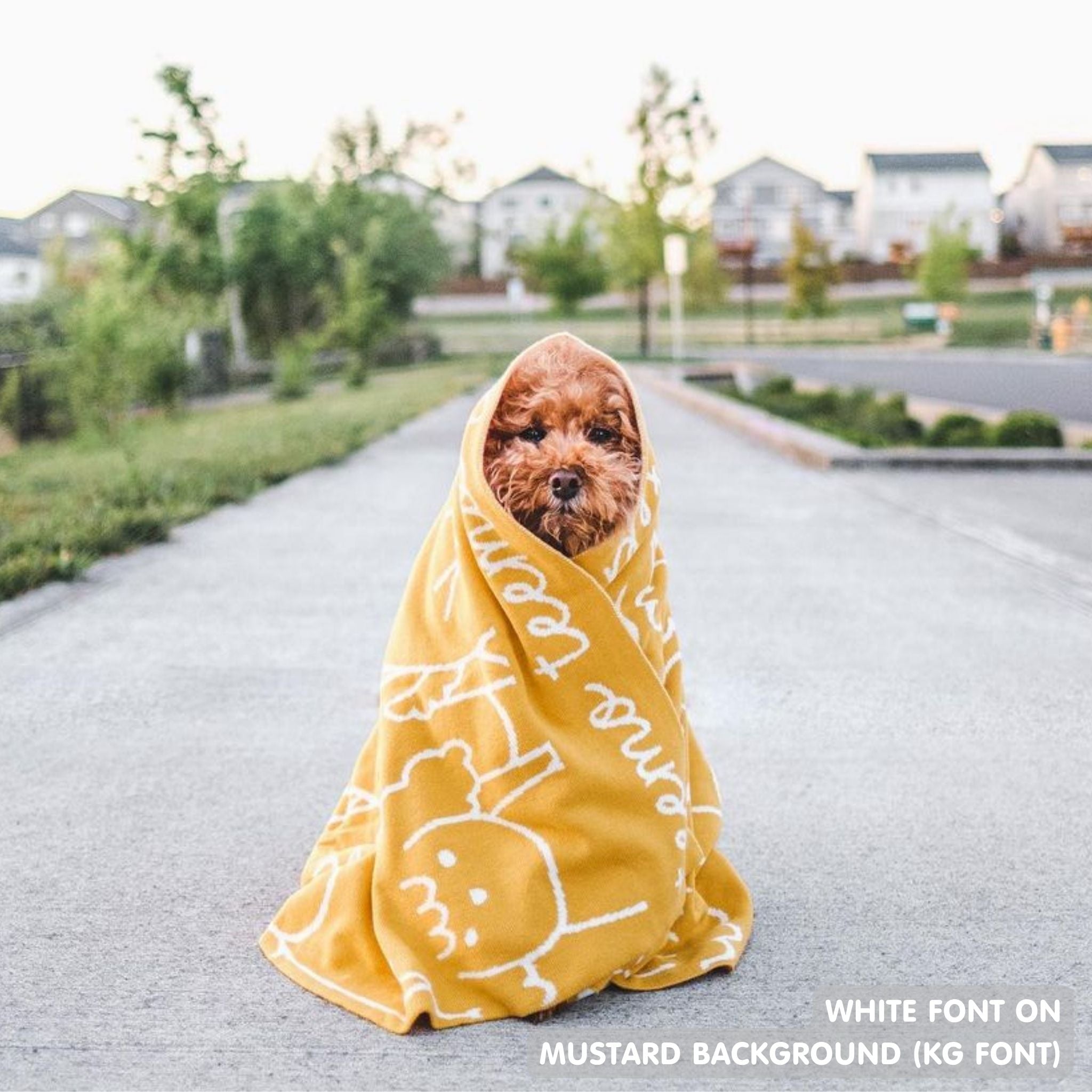Personalised pet blanket for dogs in mustard and white, custom knitted dog blanket by TinyBitz, cozy gift for small dogs.