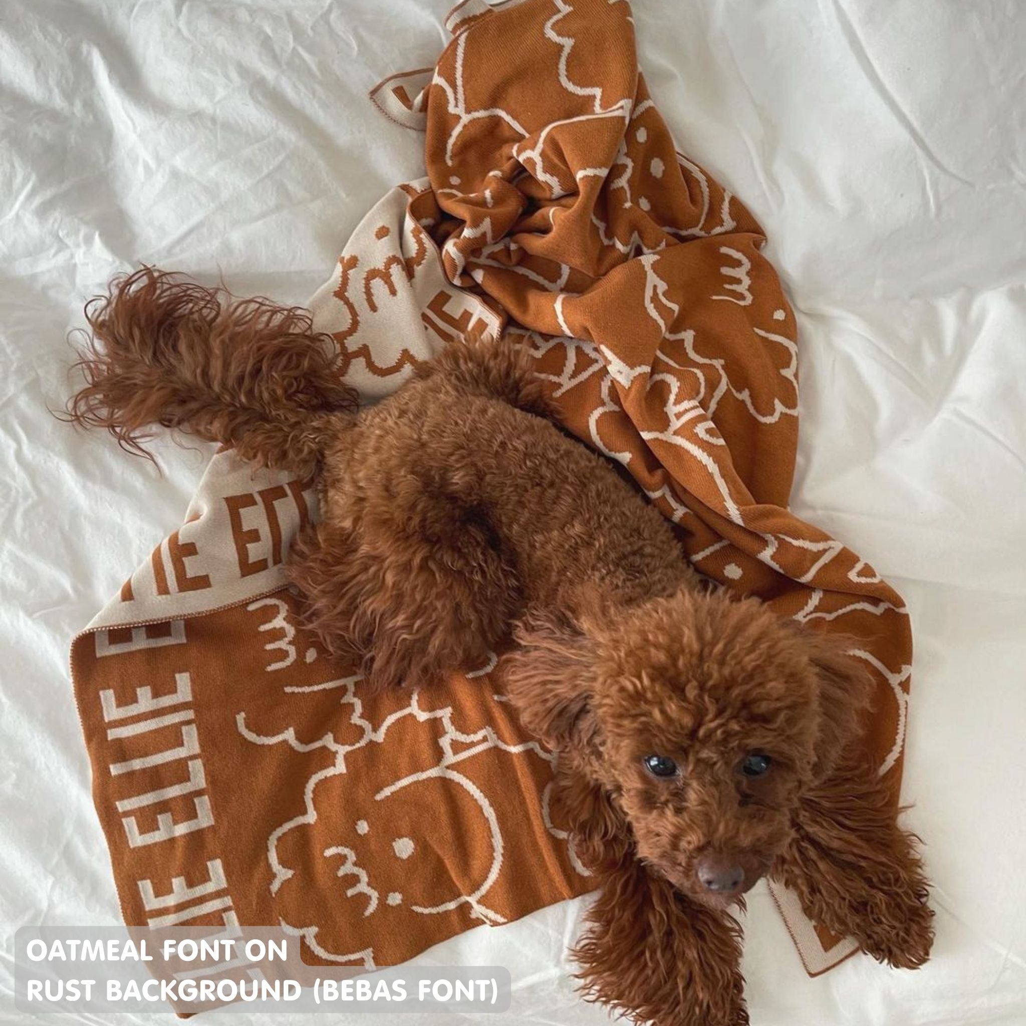 Personalised pet blanket in rust and oatmeal knitted cotton, cozy custom dog blanket by TinyBitz, perfect personalized gift for pet lovers.