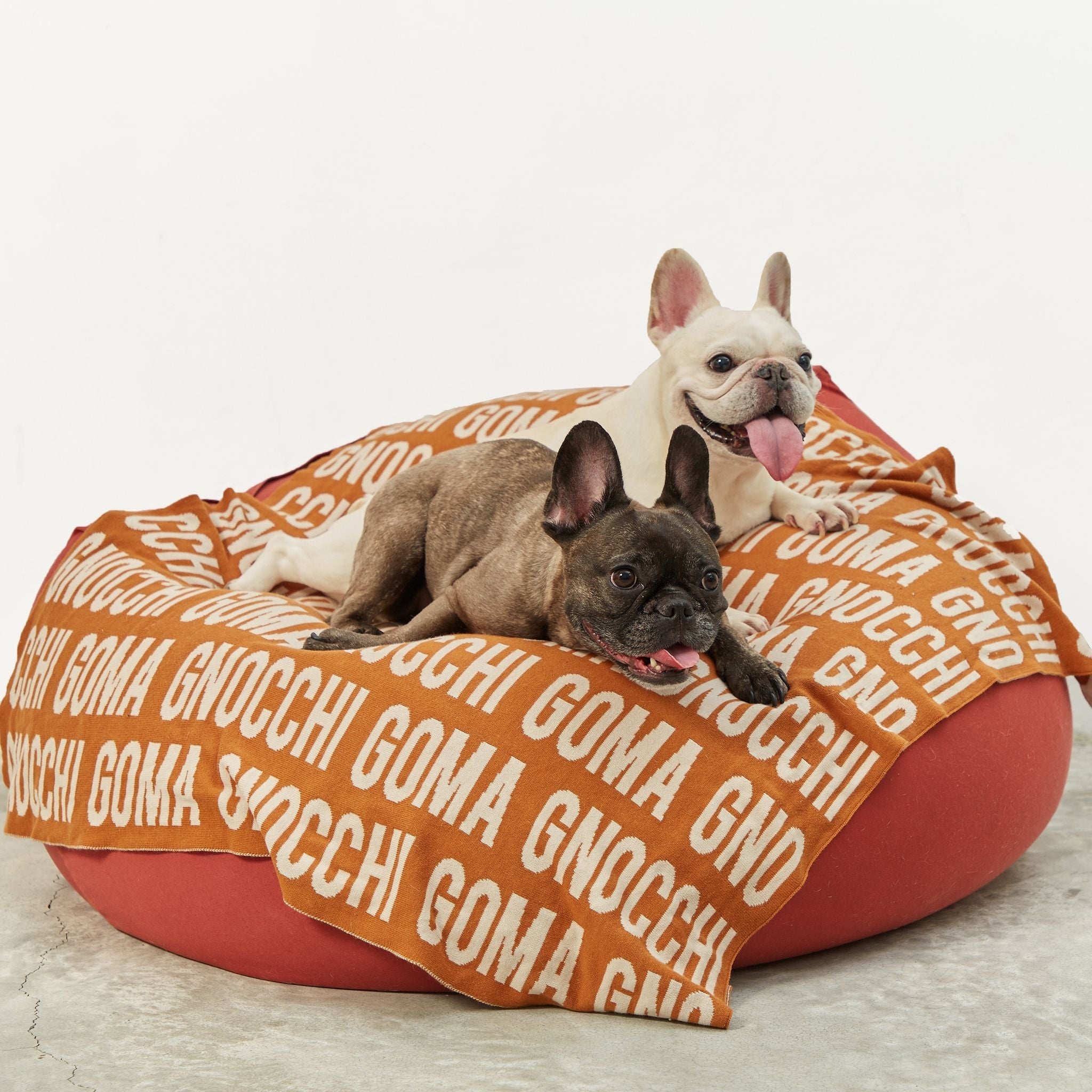 Personalised pet blanket in rust and oatmeal knitted cotton, custom knitted dog blanket by TinyBitz, perfect gift for dog lovers.