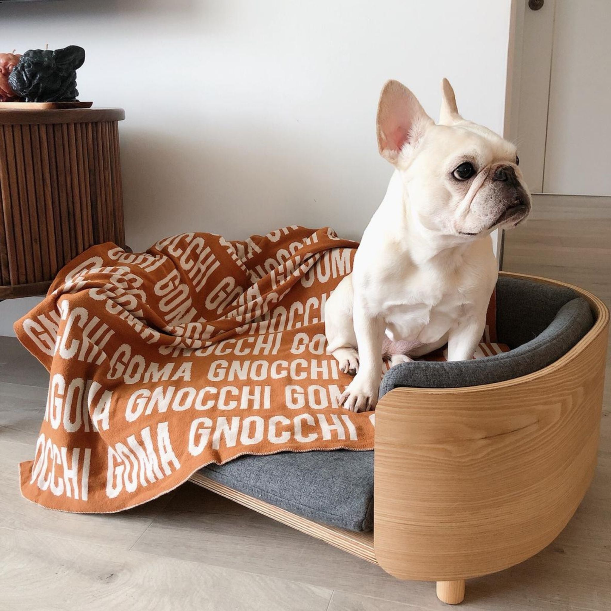 Personalised pet blanket in rust and oatmeal knitted cotton, cozy custom cat blanket by TinyBitz, perfect personalized gift for pet lovers.
