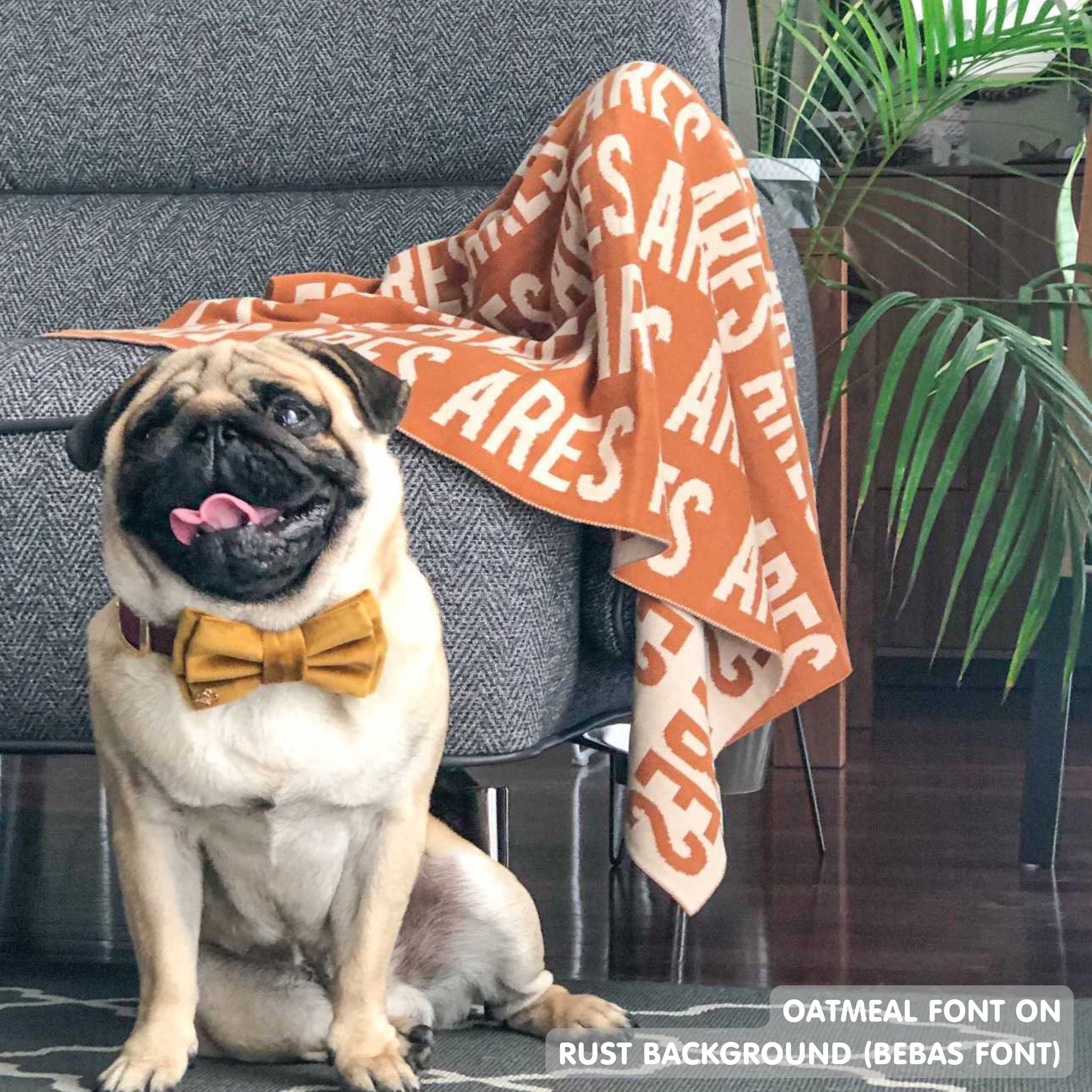 Personalised pet blanket in rust and oatmeal knitted cotton, custom dog blanket by TinyBitz, styled on modern wooden dog bed.