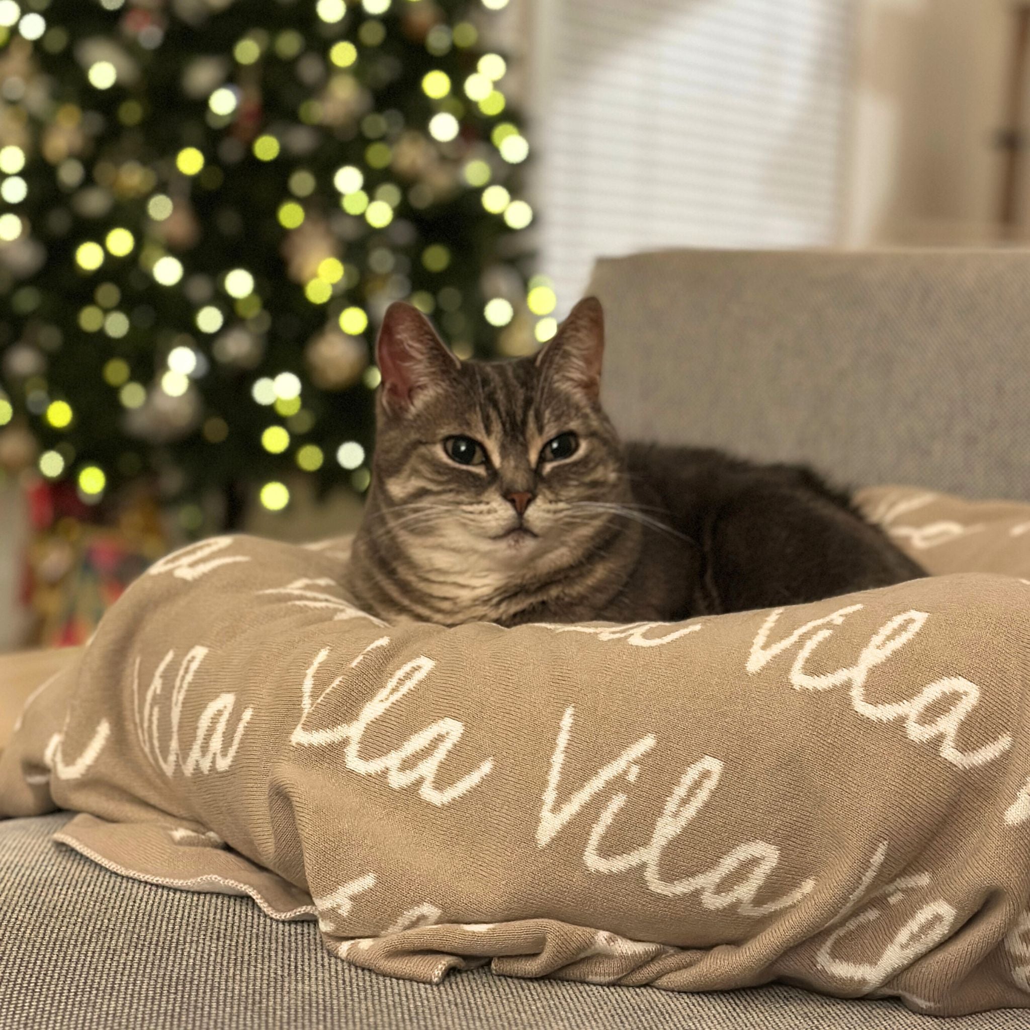 Personalised pet blanket in stone and white knitted cotton, cozy custom cat blanket by TinyBitz, perfect personalized gift for pet lovers.
