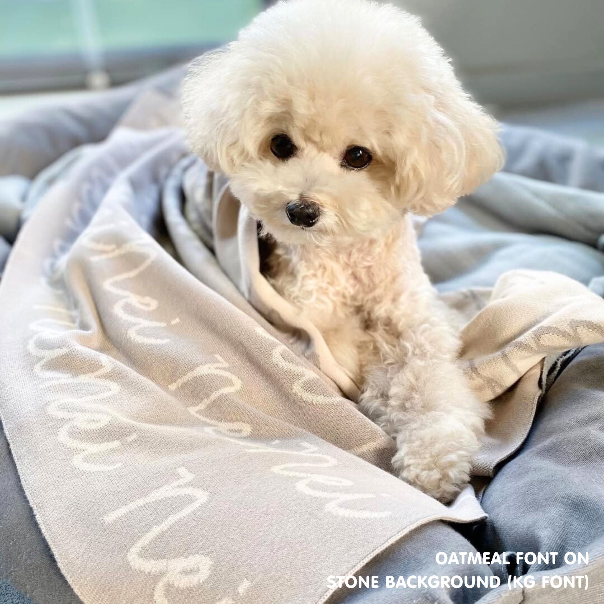 Personalised pet blanket in stone and oatmeal knitted cotton, custom dog blanket by TinyBitz, styled on modern wooden dog bed.