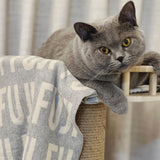 Personalized Blanket for Pets (Light Grey Background)