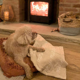 Personalized Blanket for Pets (Oatmeal Background)