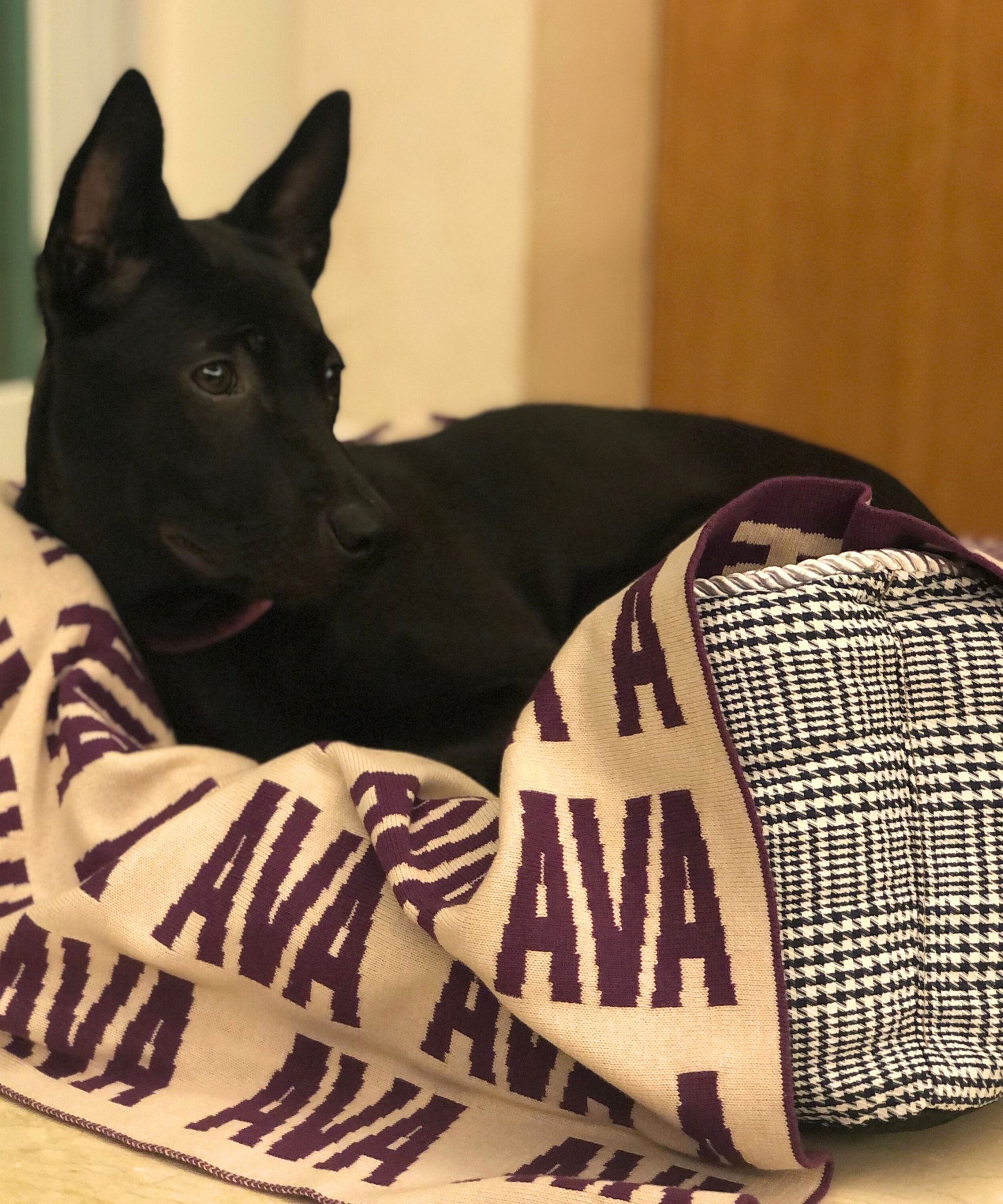 Personalized Blanket for Pets (Oatmeal Background)