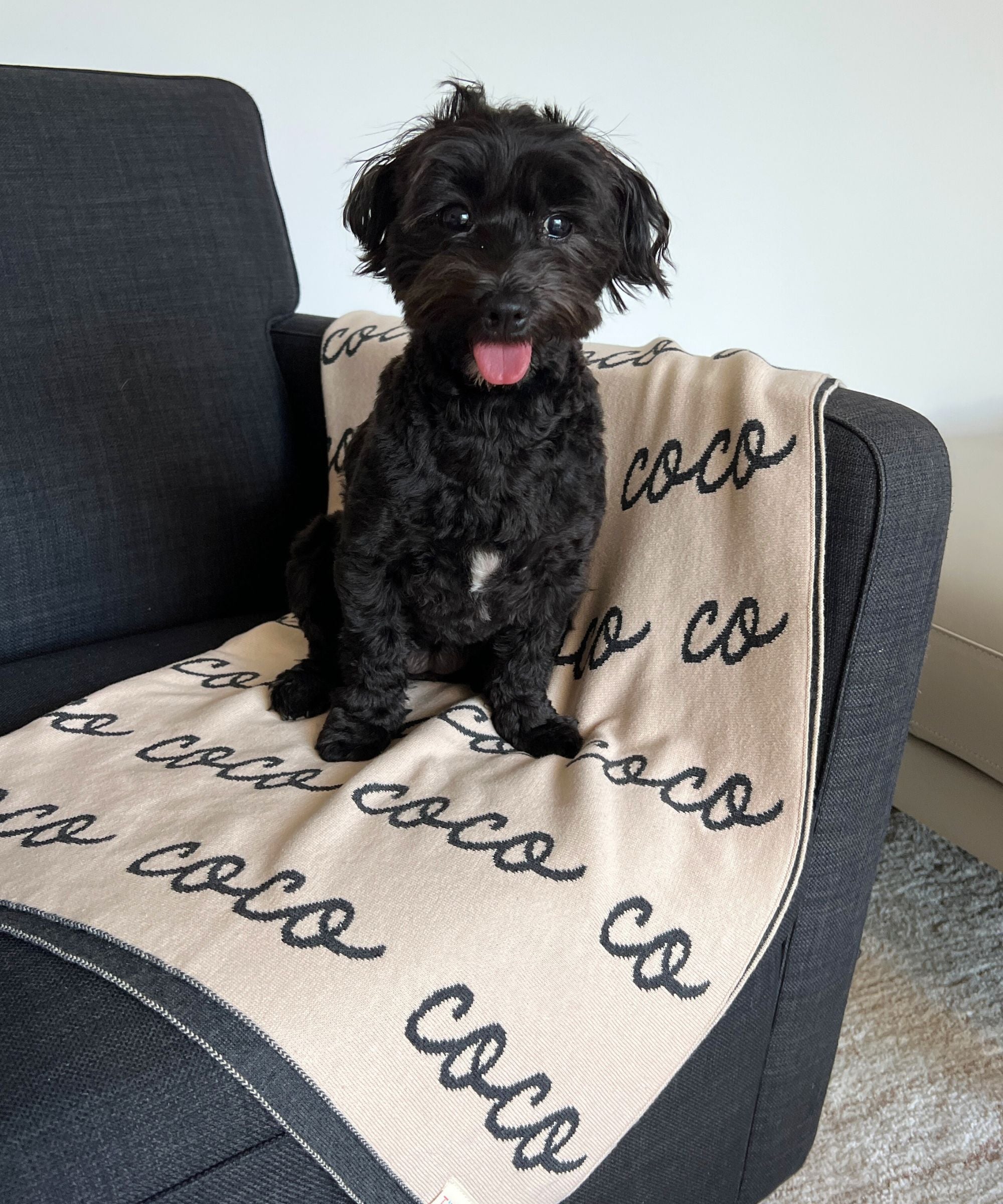 Personalized Blanket for Pets (Oatmeal Background)