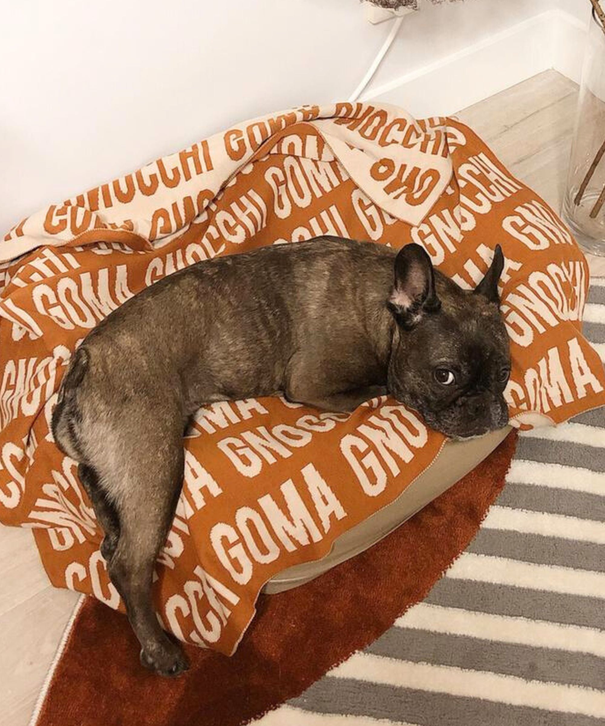 Personalized Blanket for Pets (Rust Background)