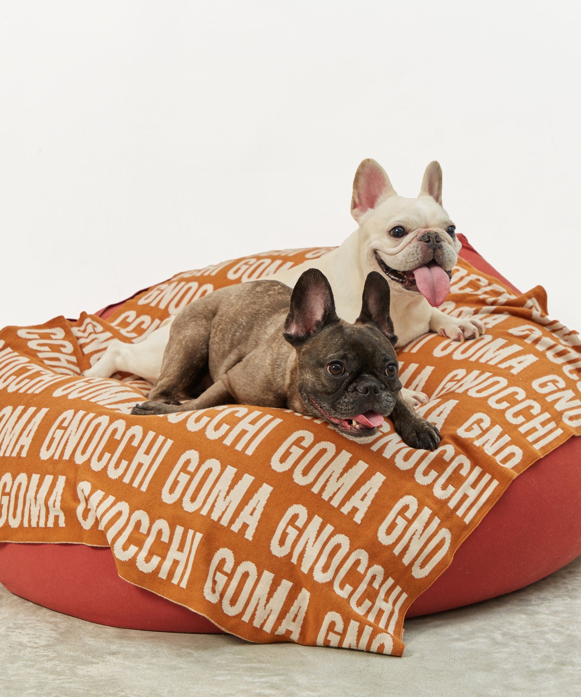 Personalized Blanket for Pets (Rust Background)