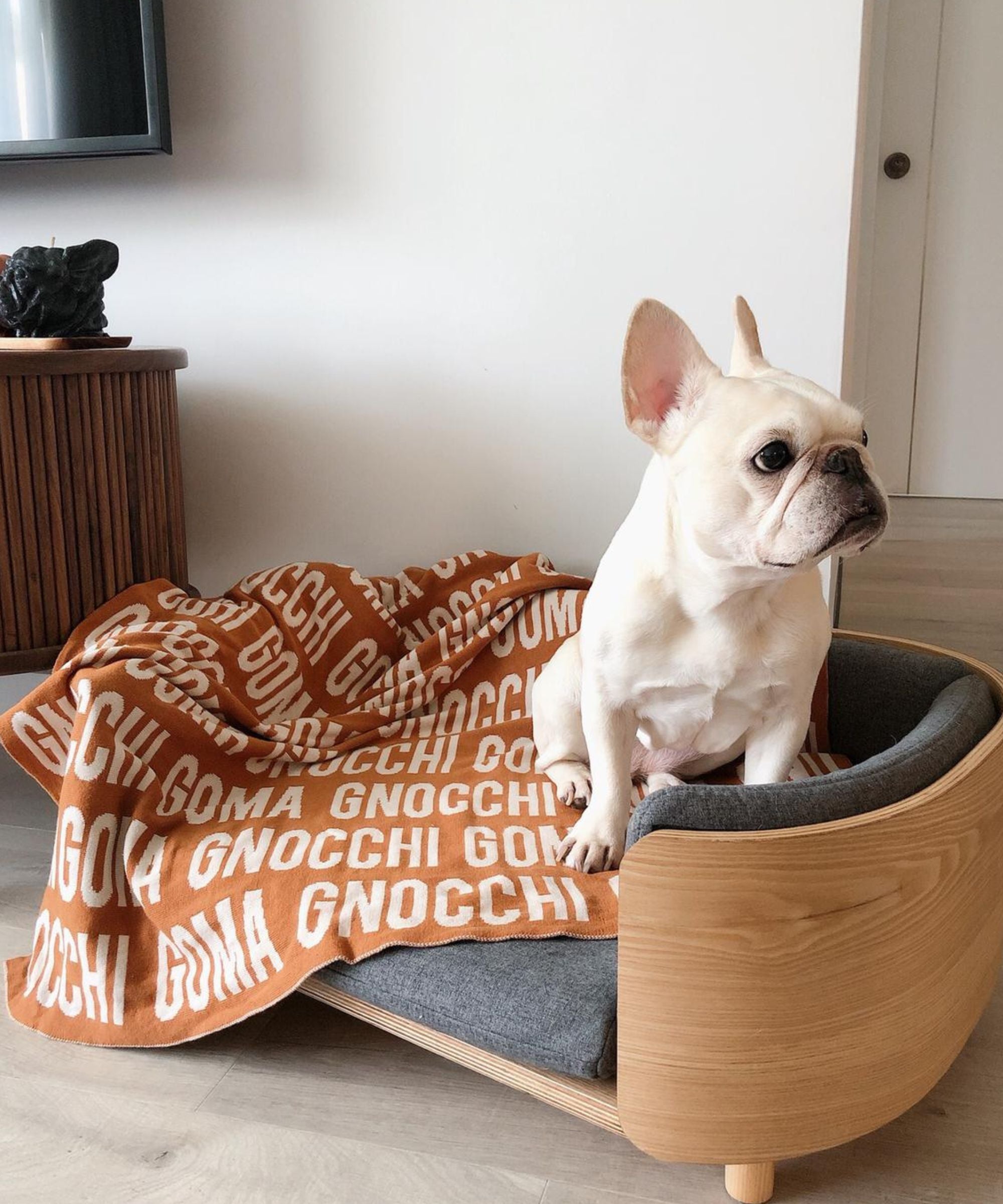 Personalized Blanket for Pets (Rust Background)