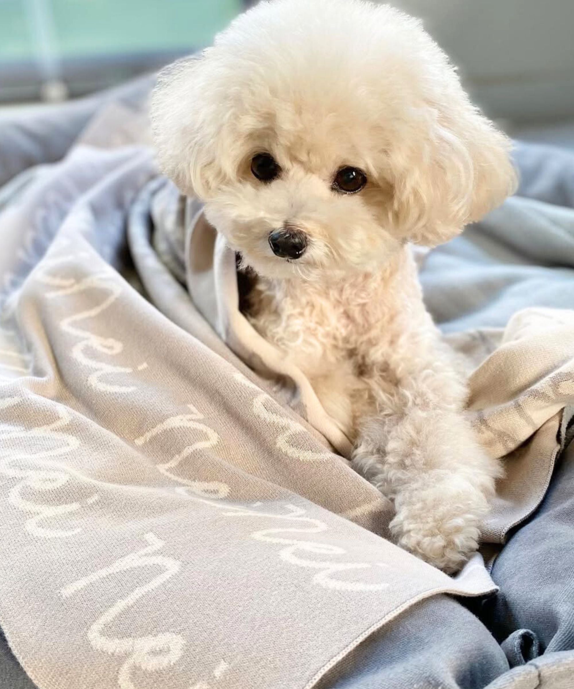 Personalized Blanket for Pets (Stone Background)
