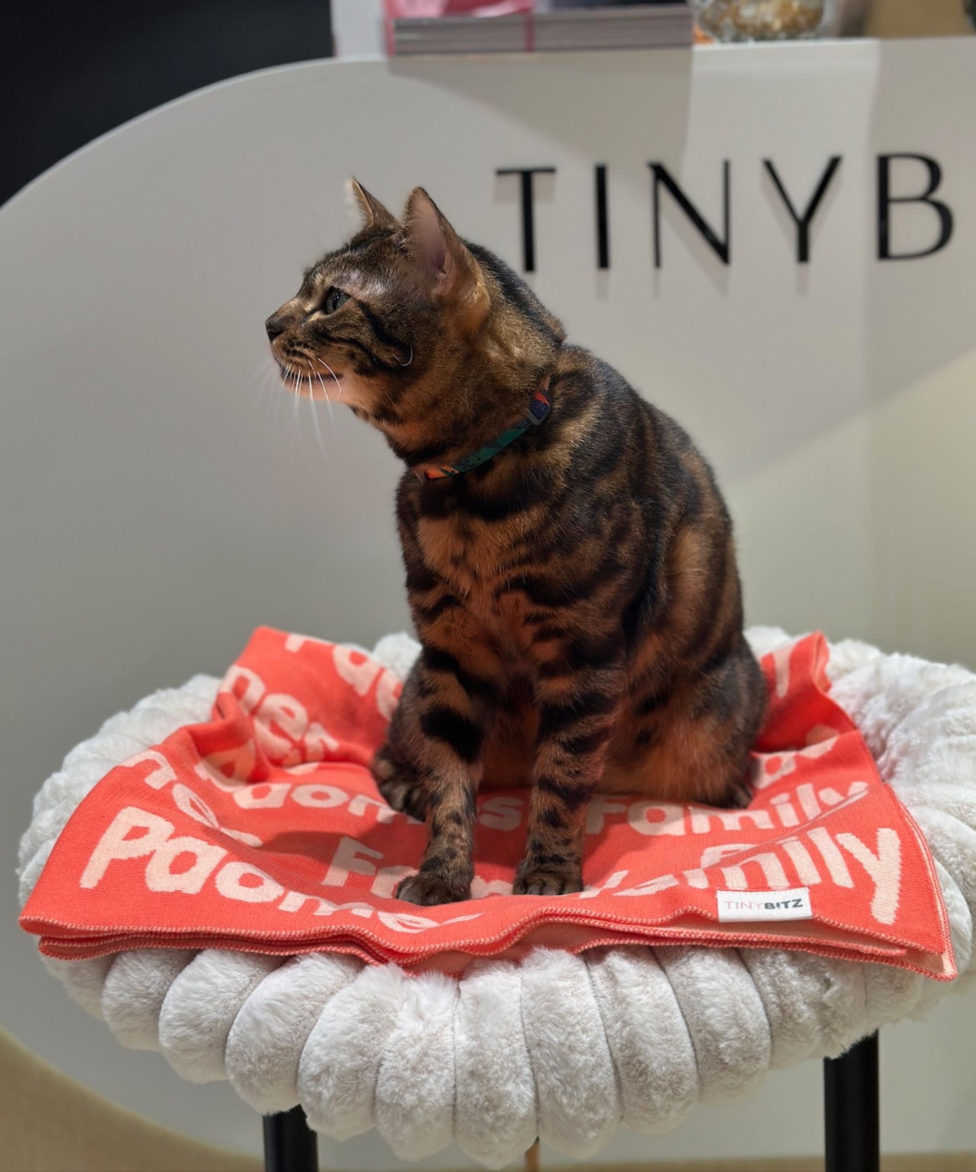 Personalized Blanket for Pets (Coral Background)