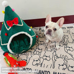 Personalised pet blanket for Frenchie in oatmeal and charcoal knitted cotton, custom dog blanket by TinyBitz, styled on modern wooden dog bed.