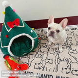 Personalised pet blanket for Frenchie in oatmeal and charcoal knitted cotton, custom dog blanket by TinyBitz, styled on modern wooden dog bed.