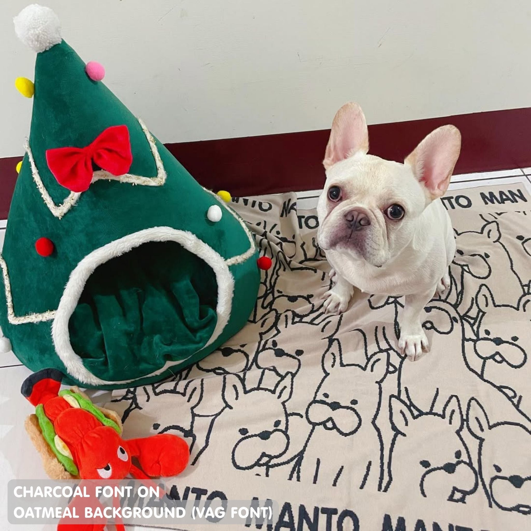 Personalised pet blanket for Frenchie in oatmeal and charcoal knitted cotton, custom dog blanket by TinyBitz, styled on modern wooden dog bed.