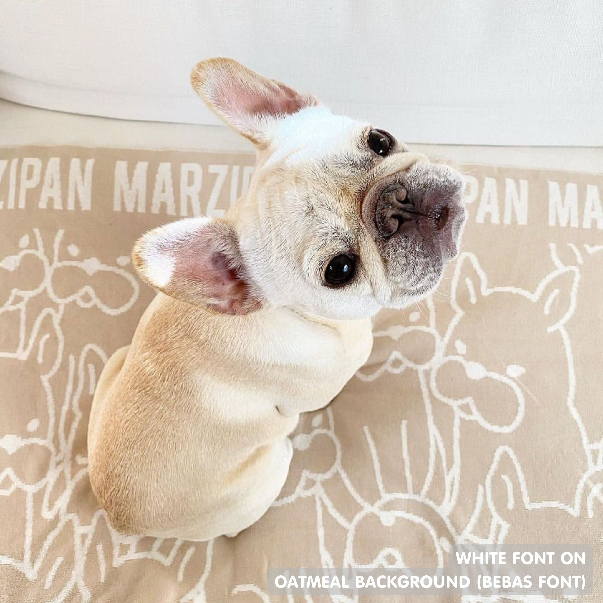 Personalised pet blanket for Frenchie in oatmeal and white knitted cotton, custom knitted dog blanket by TinyBitz, perfect gift for dog lovers.