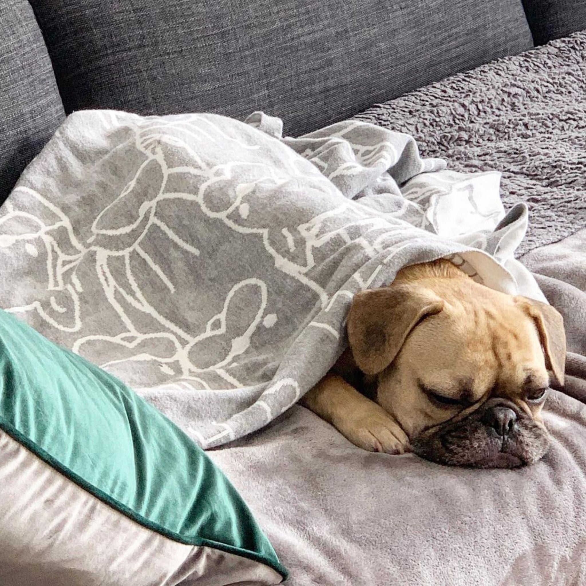 Personalised pet blanket for Frenchie in light grey and white knitted cotton, custom dog blanket by TinyBitz, styled on modern wooden dog bed.