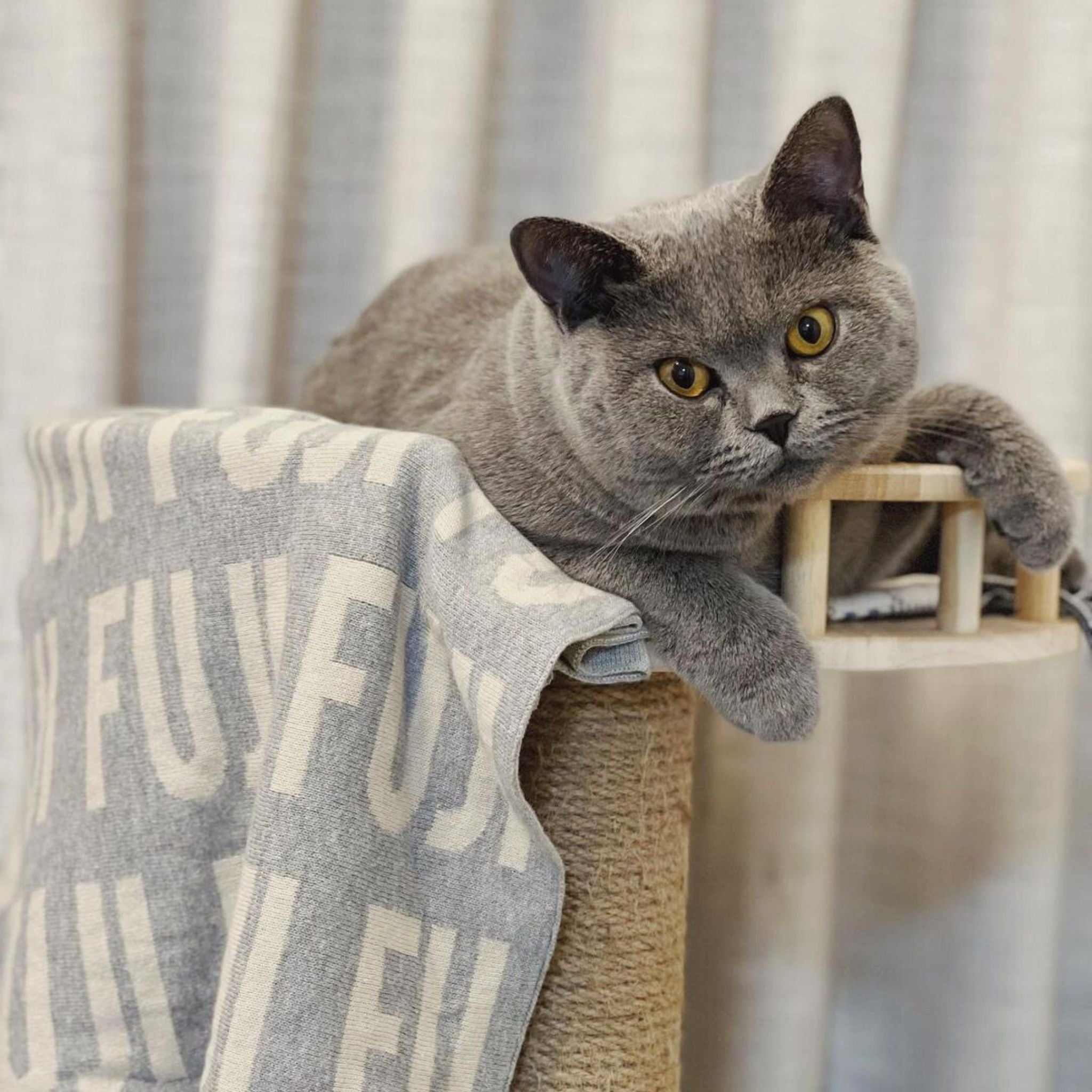 Personalised pet blanket in light grey and oatmeal knitted cotton, cozy custom cat blanket by TinyBitz, perfect personalized gift for pet lovers.