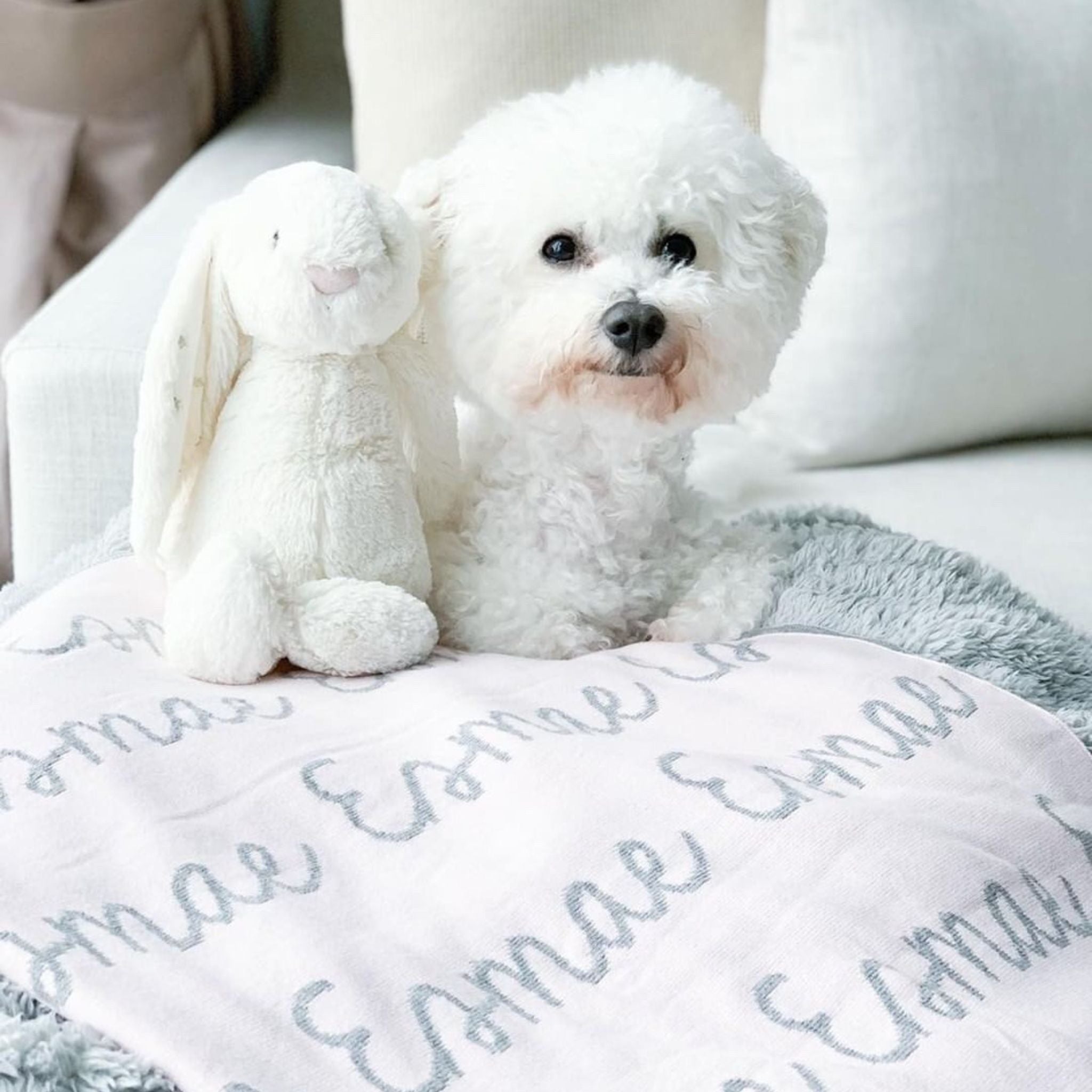 Personalised pet blanket in light pink and light grey knitted cotton, cozy custom cat blanket by TinyBitz, perfect personalized gift for pet lovers.