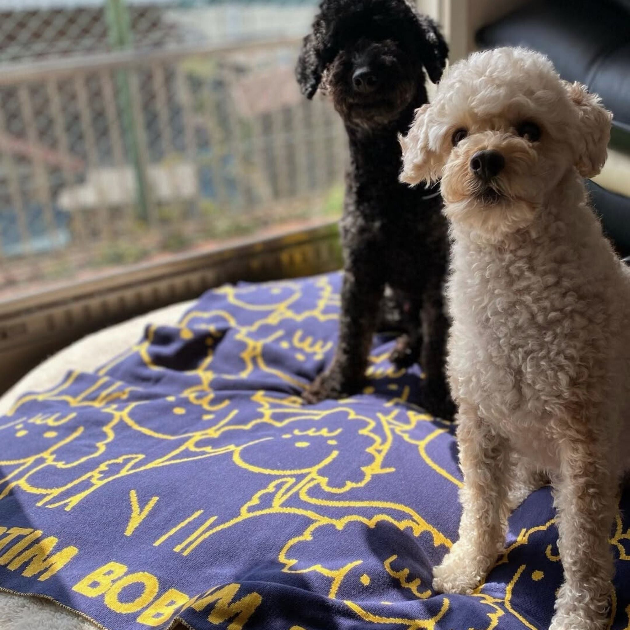 Personalised pet blanket for Poodle in blue and mustard knitted cotton, custom knitted cat blanket by TinyBitz, perfect gift for dog lovers.