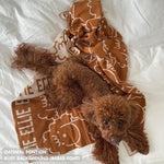 Personalised pet blanket in rust and oatmeal knitted cotton, cozy custom dog blanket by TinyBitz, perfect personalized gift for pet lovers.