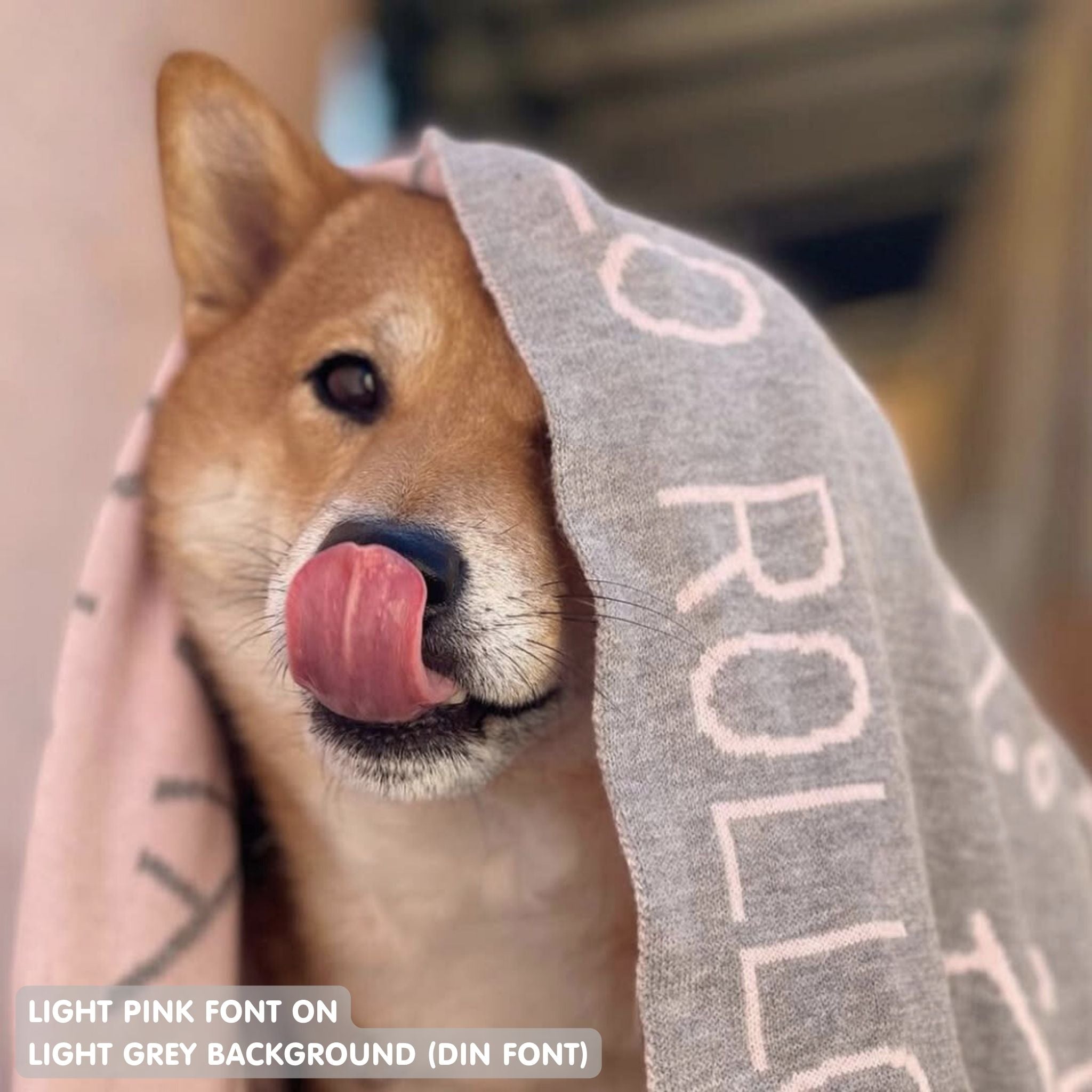 Personalised pet blanket for Shiba in light grey and light pink knitted cotton, custom dog blanket by TinyBitz, styled on modern wooden dog bed.