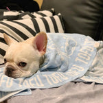 Personalised pet blanket for Frenchie in light blue and white knitted cotton, custom dog blanket by TinyBitz.