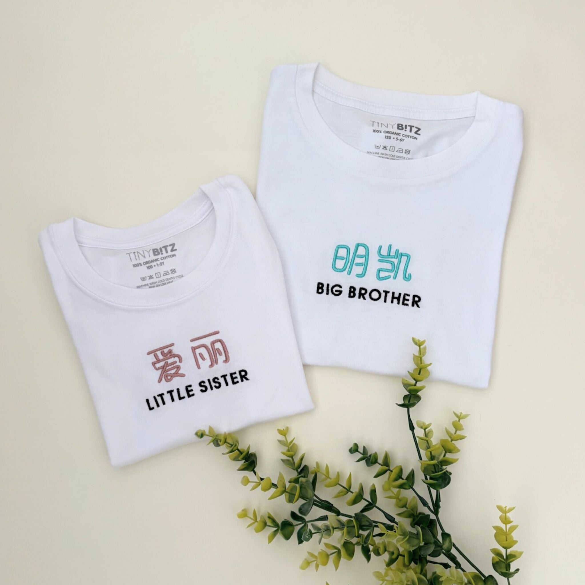 Kids Tee: Big Brother with Name