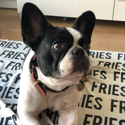 Personalized Blanket for Pets (White Background)