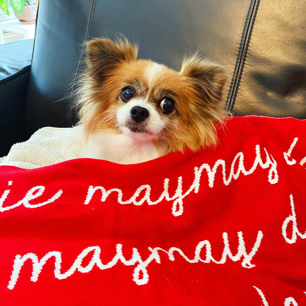 Personalized Blanket for Pets (Red Background)