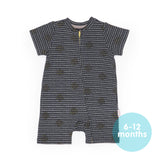 Summer Growing Kit for Newborn Babies (Spot the Dots)