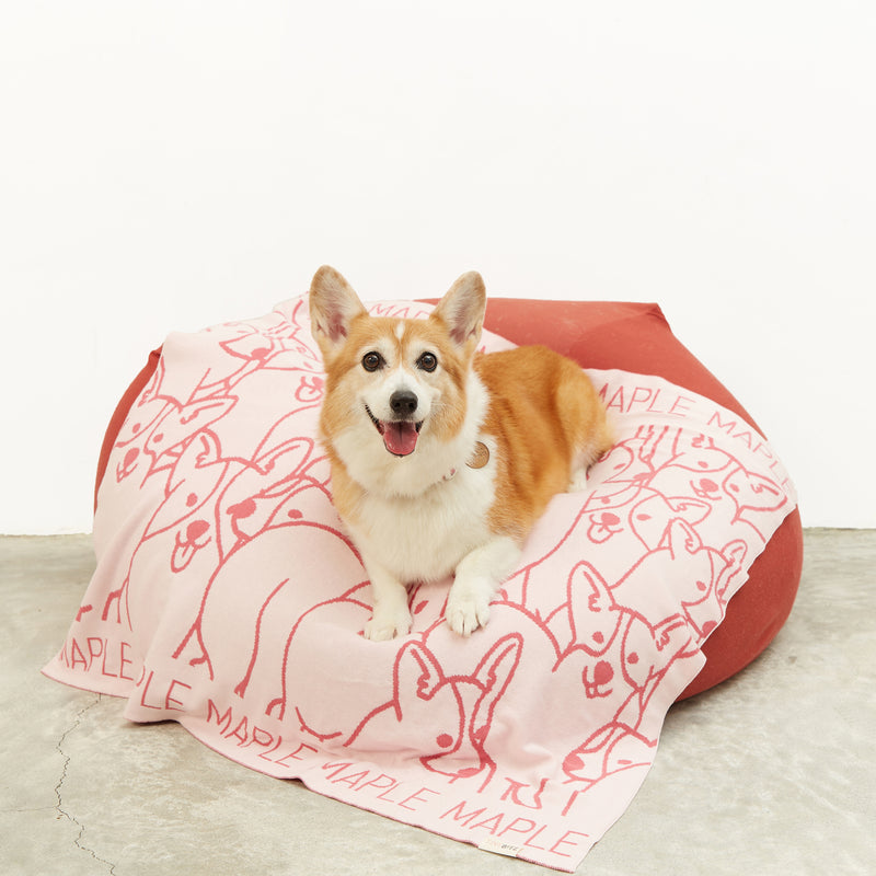 TinyBitz x GG: Personalized Blanket for Corgi