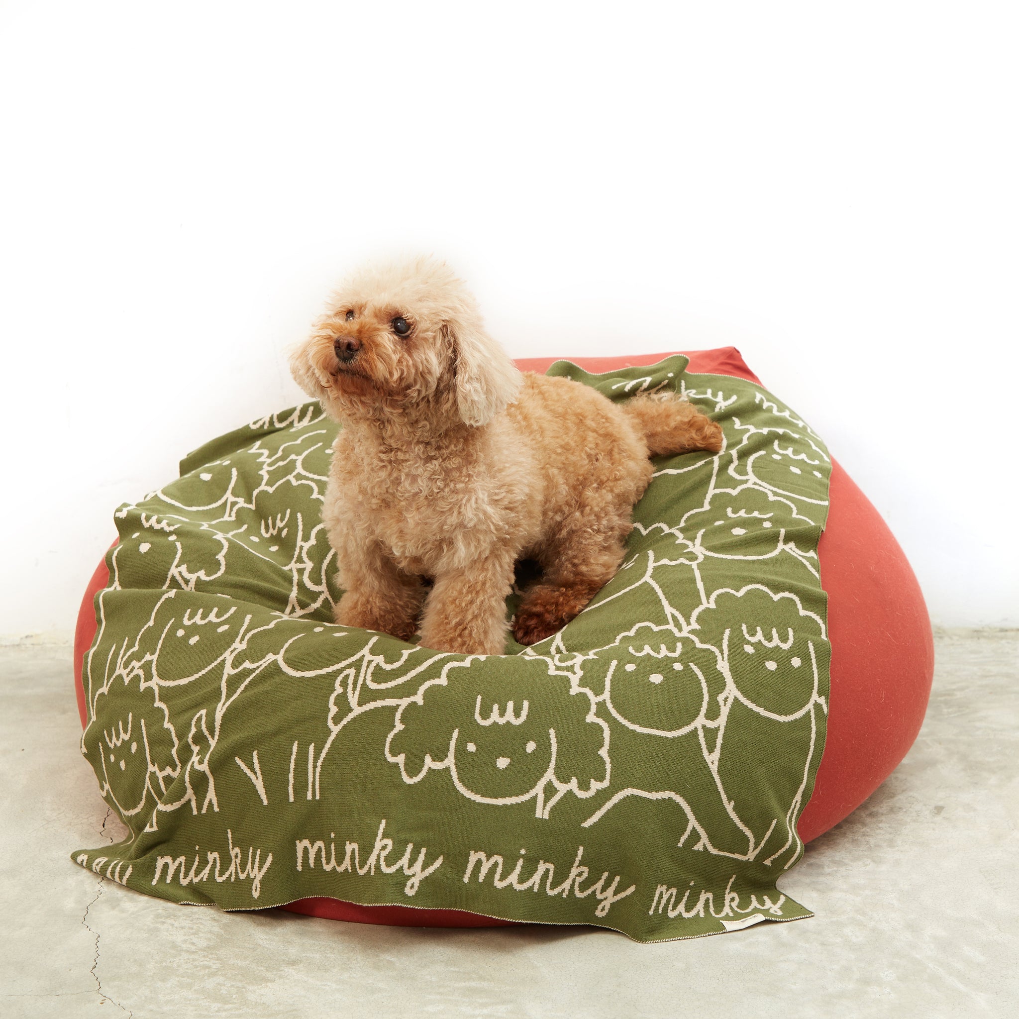 Personalised pet blanket for Poodle in army green and oatmeal knitted cotton, custom dog blanket by TinyBitz, styled on modern wooden dog bed.