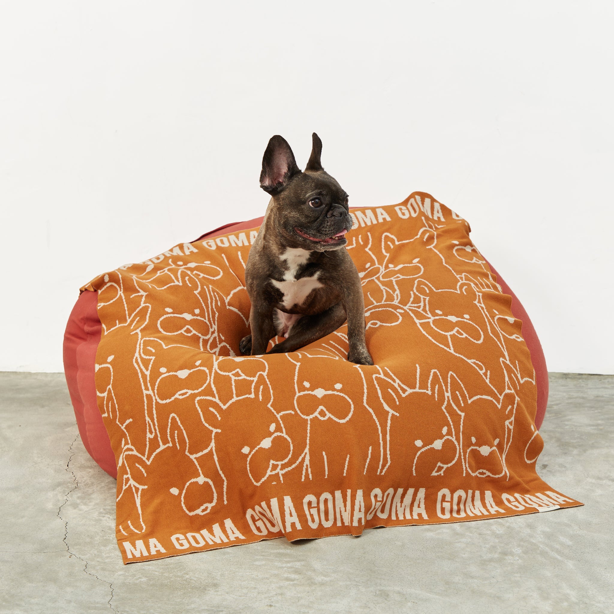 Personalised pet blanket for dogs in rust and oatmeal knitted cotton, custom knitted dog blanket by TinyBitz, perfect gift for dog lovers.
